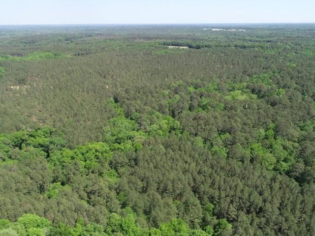 Land for sale in White Plains, Georgia