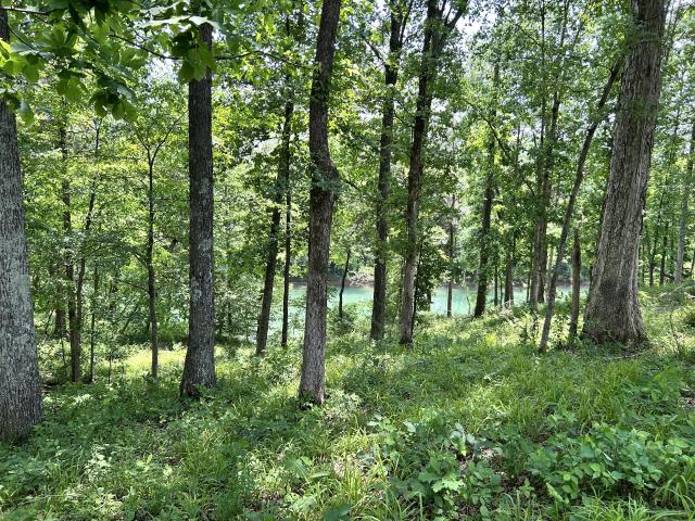 Land for sale in Tennessee