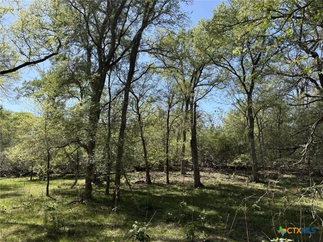 Farm for sale in Flatonia, Texas