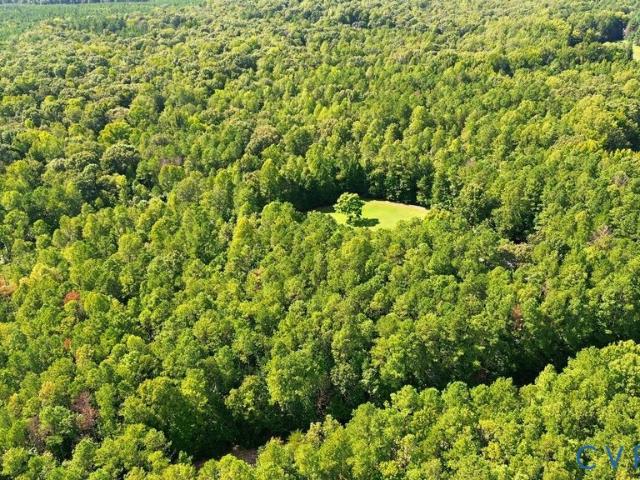 Land for sale in Holly Hills, Powhatan