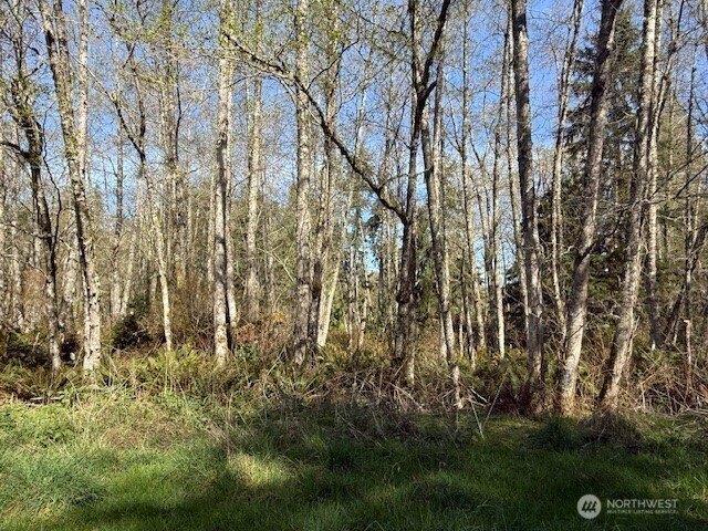 Land for sale in Freeland, Washington