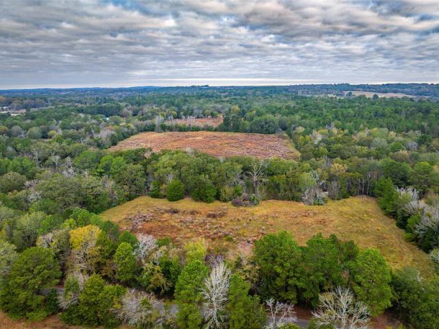 Land for sale in Elkhart, Texas