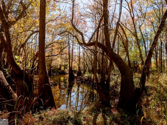 Land for sale in Statesboro, Georgia