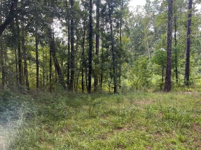 Land for sale in Hawkins Crossroads, Woodland
