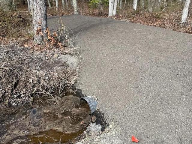 Land for sale in Princess Anne, Maryland