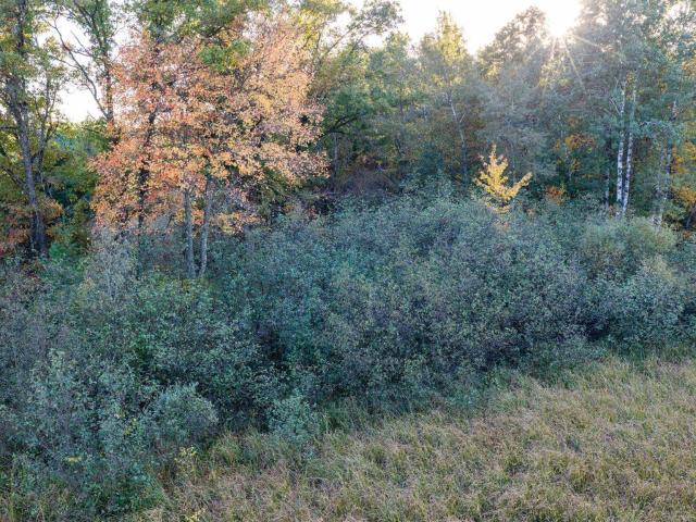 Land for sale in Town of Washburn, Clark County