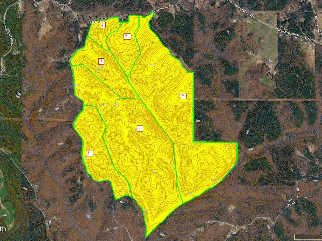 Land for sale in Pickens, Georgia