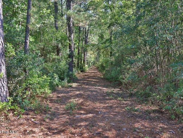 Land for sale in Wallace, Pender County