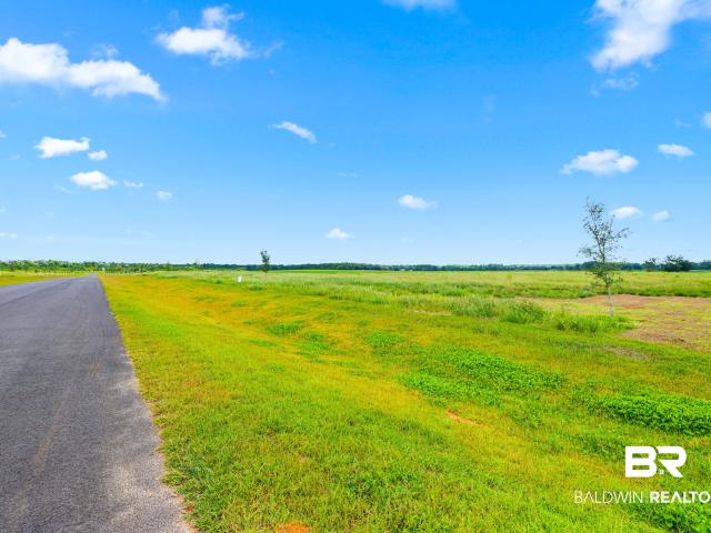 Land for sale in Elberta, Alabama