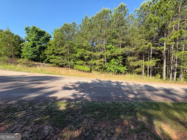 Land for sale in Monticello, Georgia