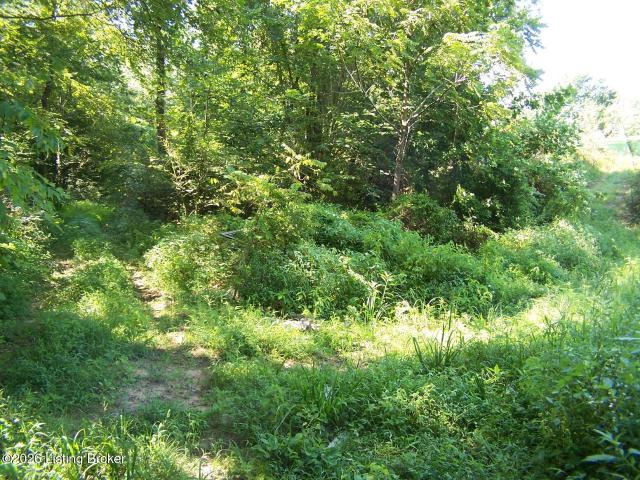 Land for sale in Bowling Green, Kentucky
