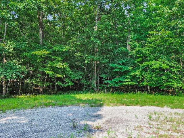 Land for sale in Monterey, East Tennessee