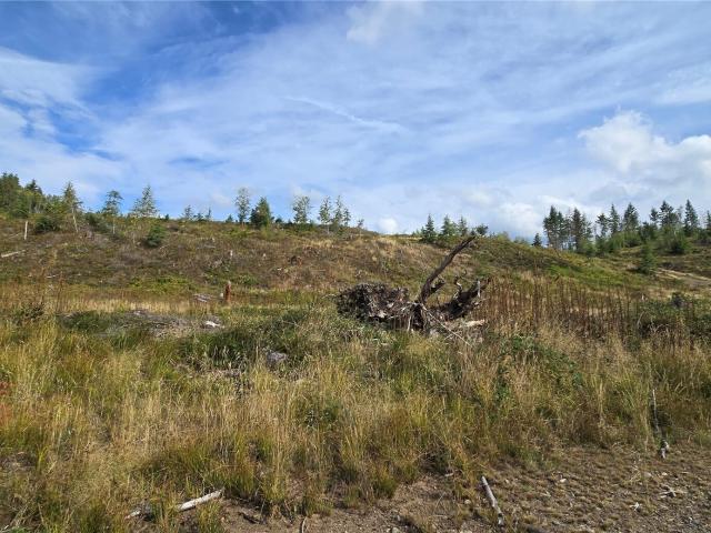 Land for sale in Blacktail Estates, Buckley