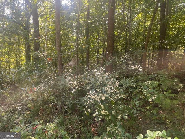 Land for sale in Martin, Stephens County