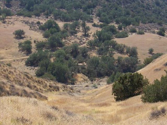 Land for sale in New Cuyama