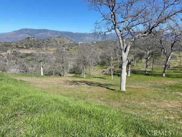 Land for sale in Squaw Valley