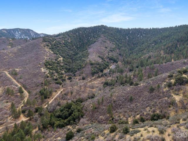 Land for sale in Tehachapi, California
