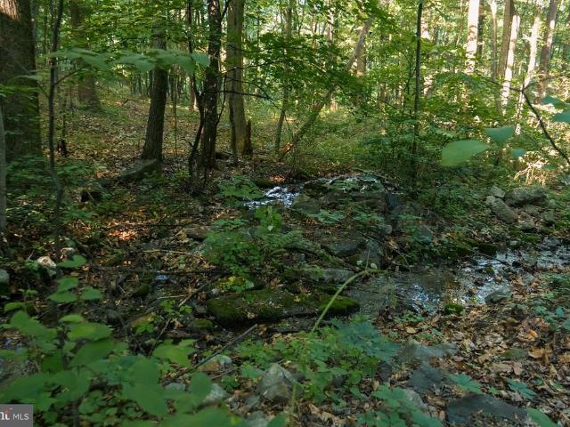 Land for sale in Fort Loudon, Pennsylvania