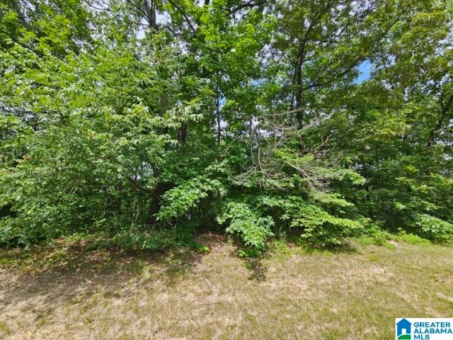 Land for sale in Odenville, Alabama