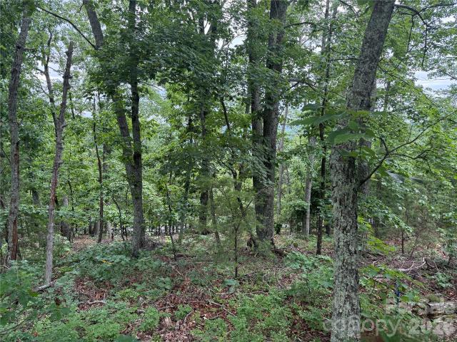 Land for sale in Bostic, Rutherford County