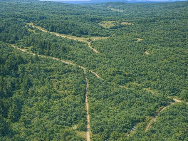 Land for sale in Tennessee