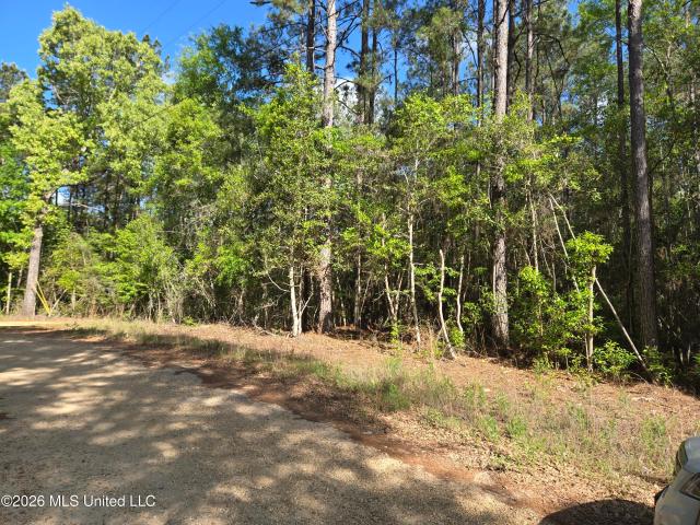 Land for sale in Poplarville, Mississippi