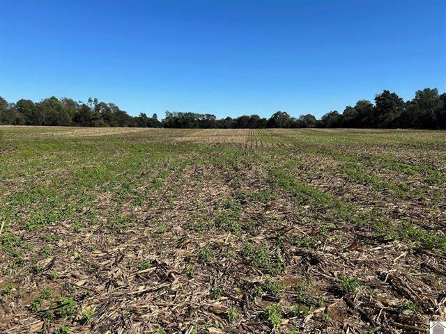 Farm for sale in Murray, Kentucky