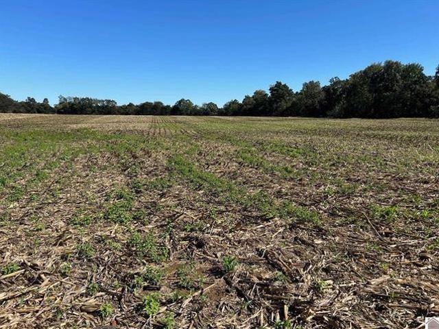 Farm for sale in Murray, Kentucky