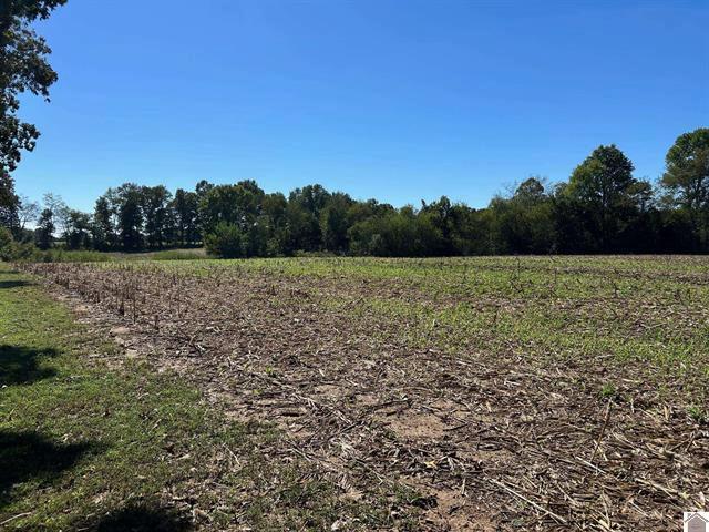 Farm for sale in Murray, Kentucky