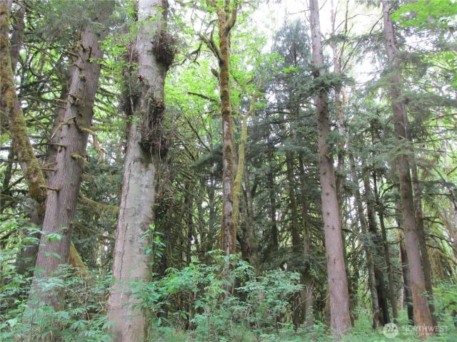 Land for sale in Concrete, Washington