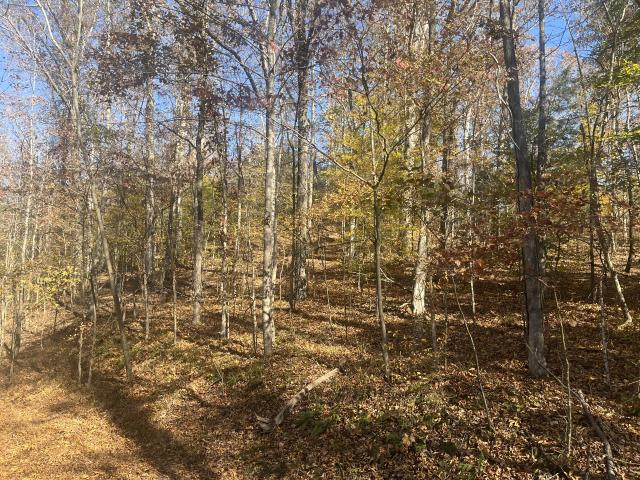 Land for sale in Tennessee