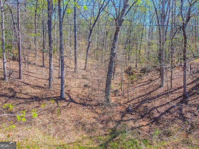 Land for sale in Lavonia, Georgia