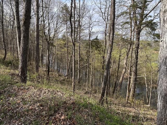 Land for sale in Tennessee