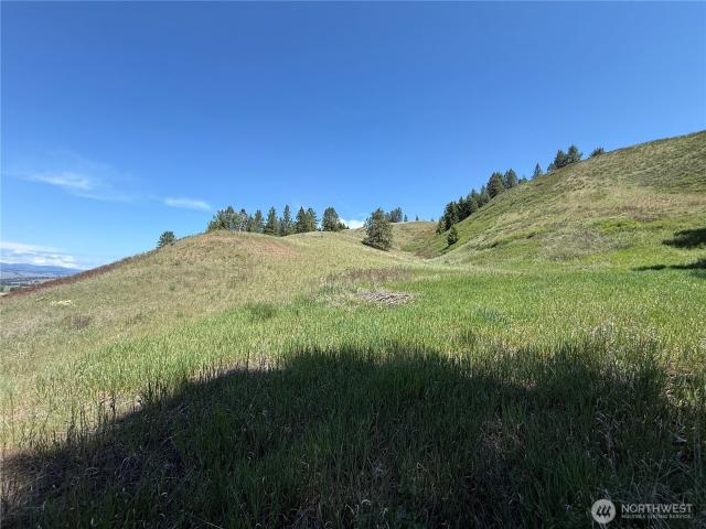 Land for sale in Washington