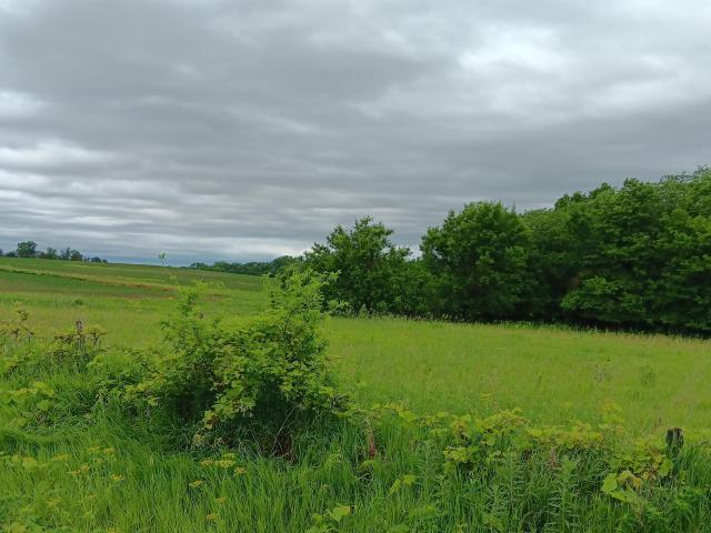 Farm for sale in Batavia, Iowa