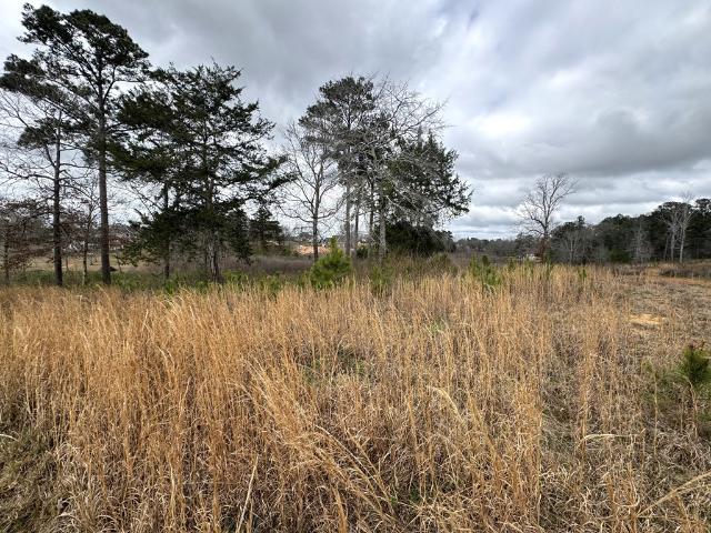Land for sale in Headland, Alabama