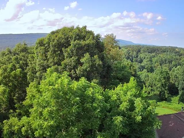 Land for sale in Tennessee