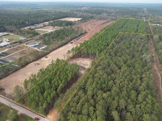 Land for sale in Glenmora, Louisiana