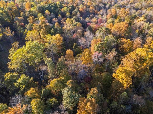 Property for sale in Fordsville, Kentucky