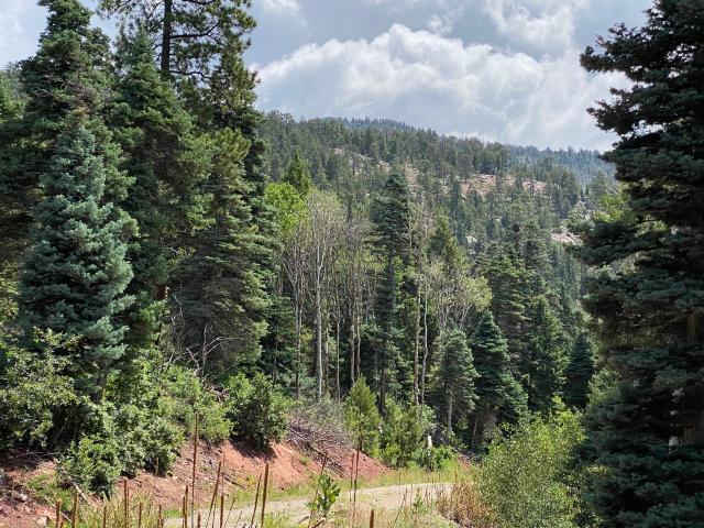 Land for sale in Chama, New Mexico