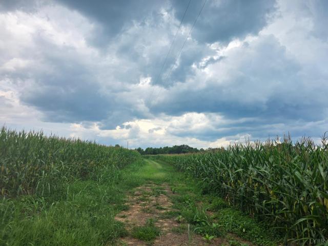 Land for sale in Brookneal, Charlotte County