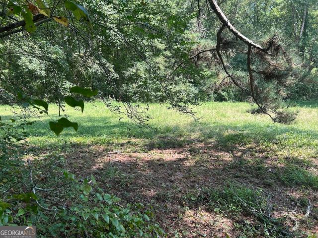 Land for sale in Bowdon, Georgia