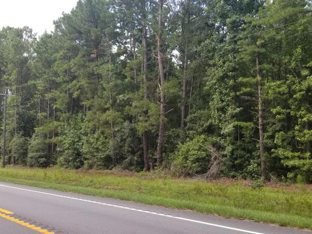 Land for sale in Smoaks, South Carolina