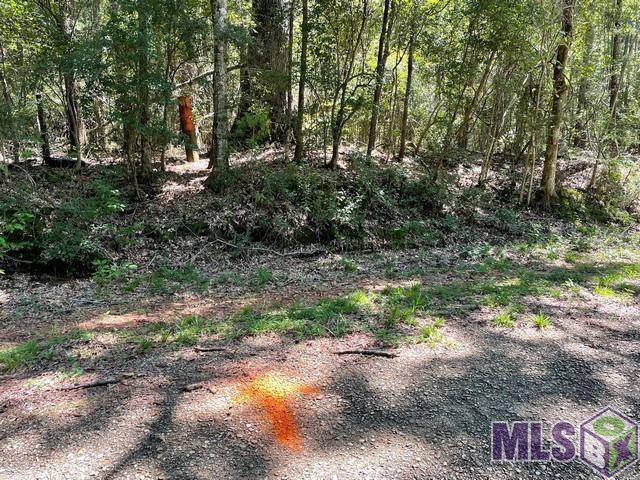 Property for sale in Saint Helena, Louisiana