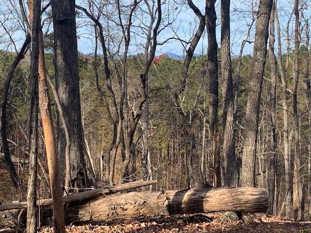 Land for sale in Dawsonville, Georgia