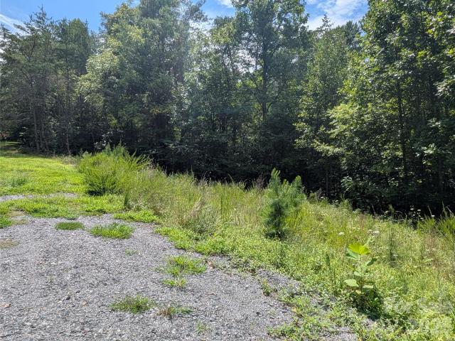 Land for sale in Marshall, North Carolina