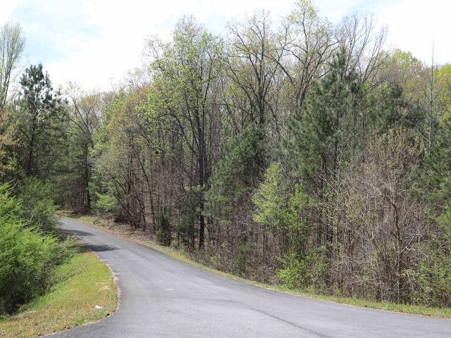 Land for sale in Summerville, Georgia