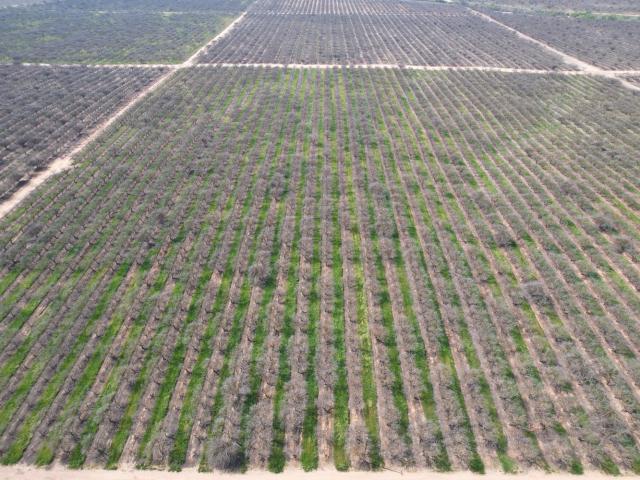 Land for sale in Madera, California