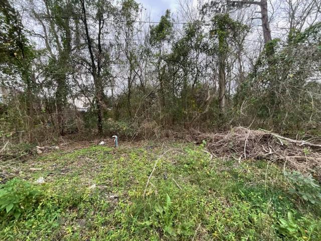 Land for sale in Dickinson, Texas