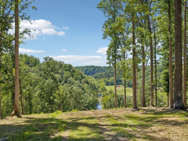 Land for sale in Tennessee